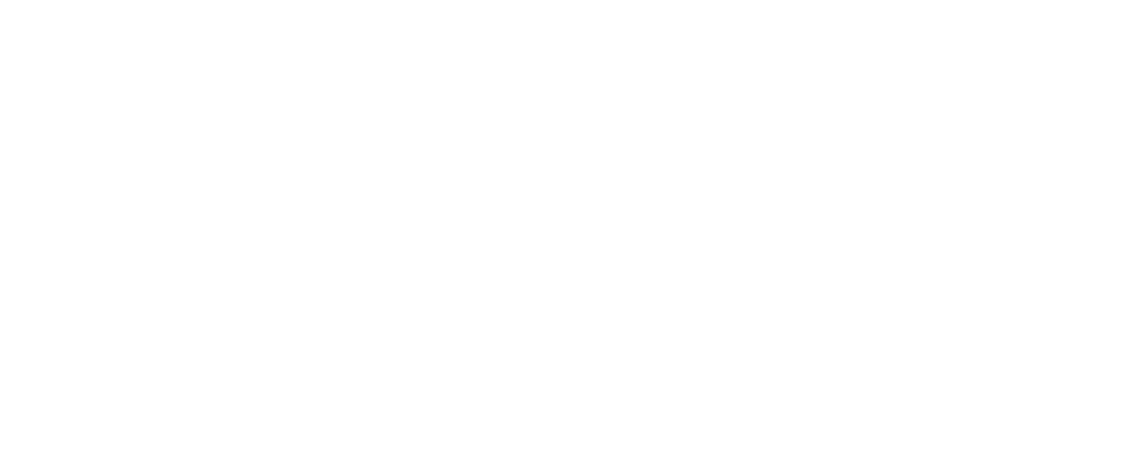 logo Déménagement Tunisie white